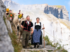 Alpabzug Flims | Tradition live erleben