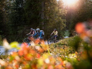 Biken in Graubünden Destination Flims